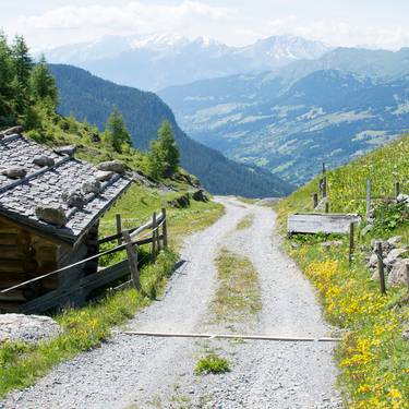 Sicht von einer Alp auf eine Tallandschaft und Berge