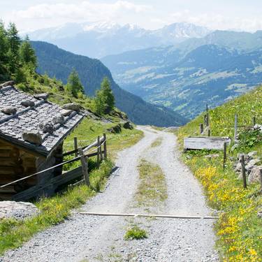 Sicht von einer Alp auf eine Tallandschaft und Berge