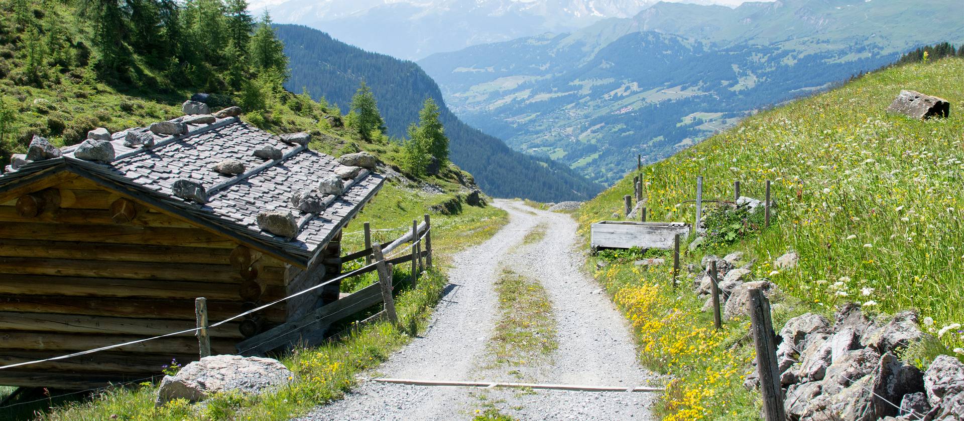 Sicht von einer Alp auf eine Tallandschaft und Berge