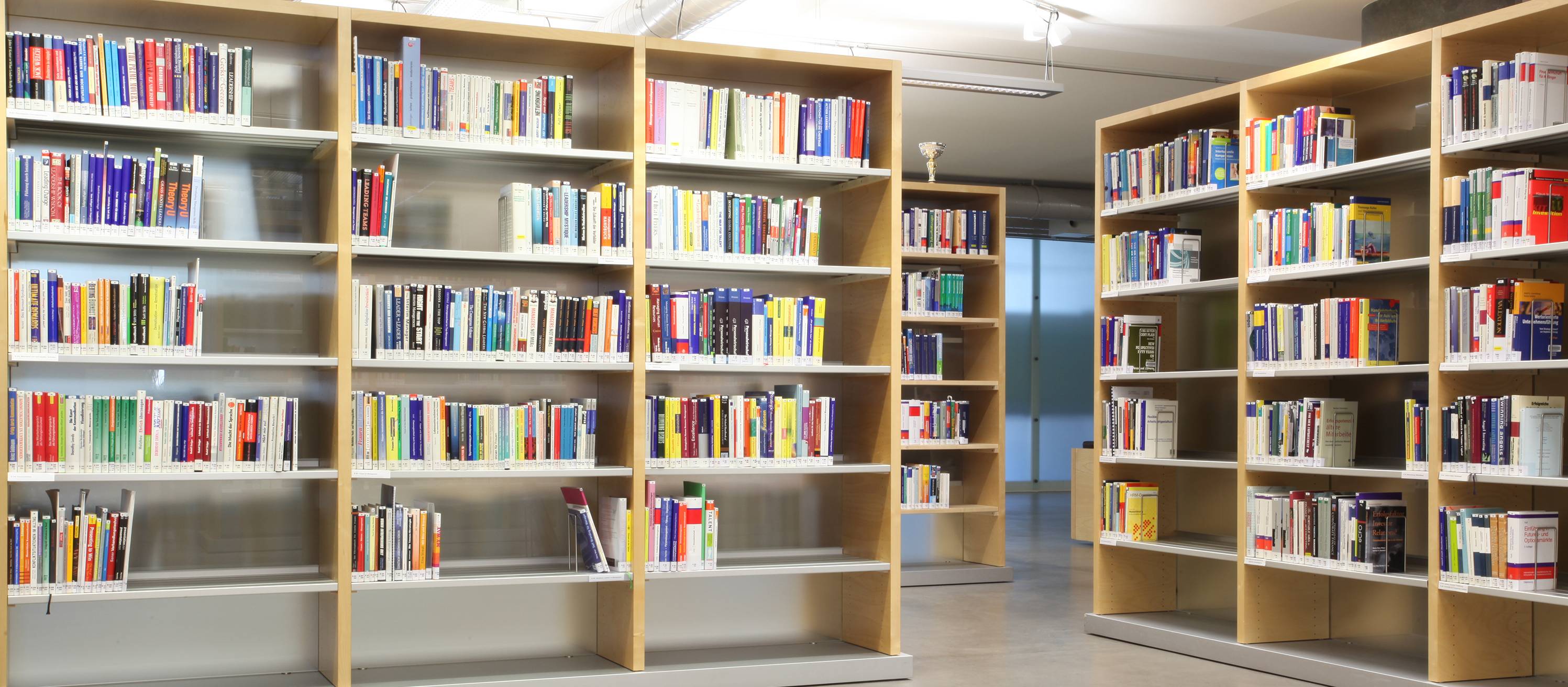 Blick auf Bücherregale der Bibliothek