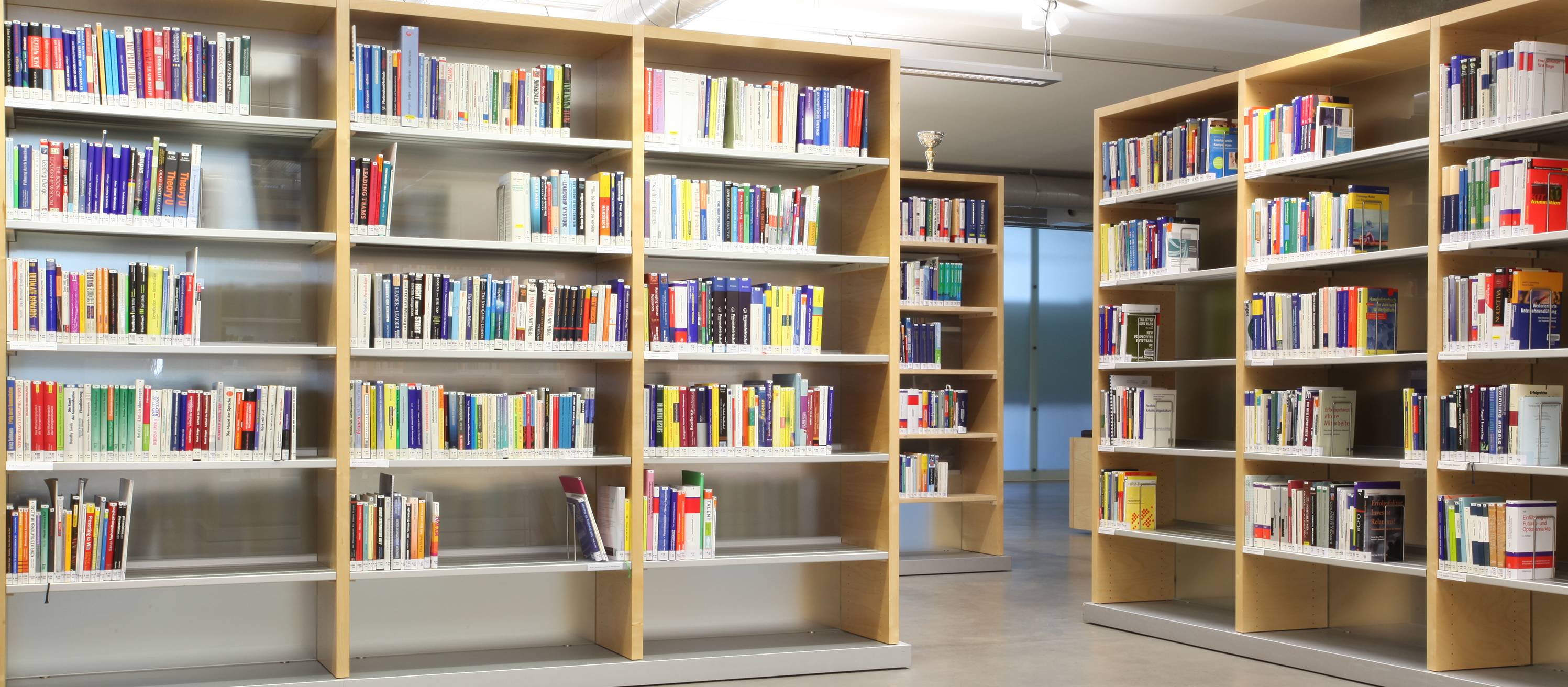 Blick auf Bücherregale der Bibliothek