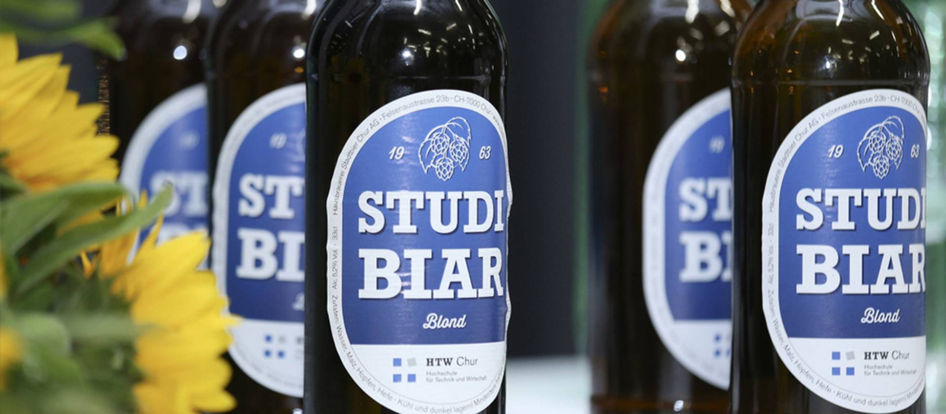 Studibiar
