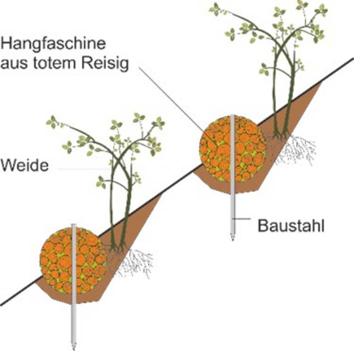 Faschine aus totem Holz