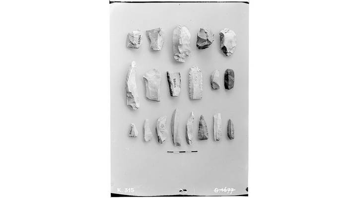 Acetatnegative Berner Historisches Museum Acetatnegativ von Gesteinsfunden