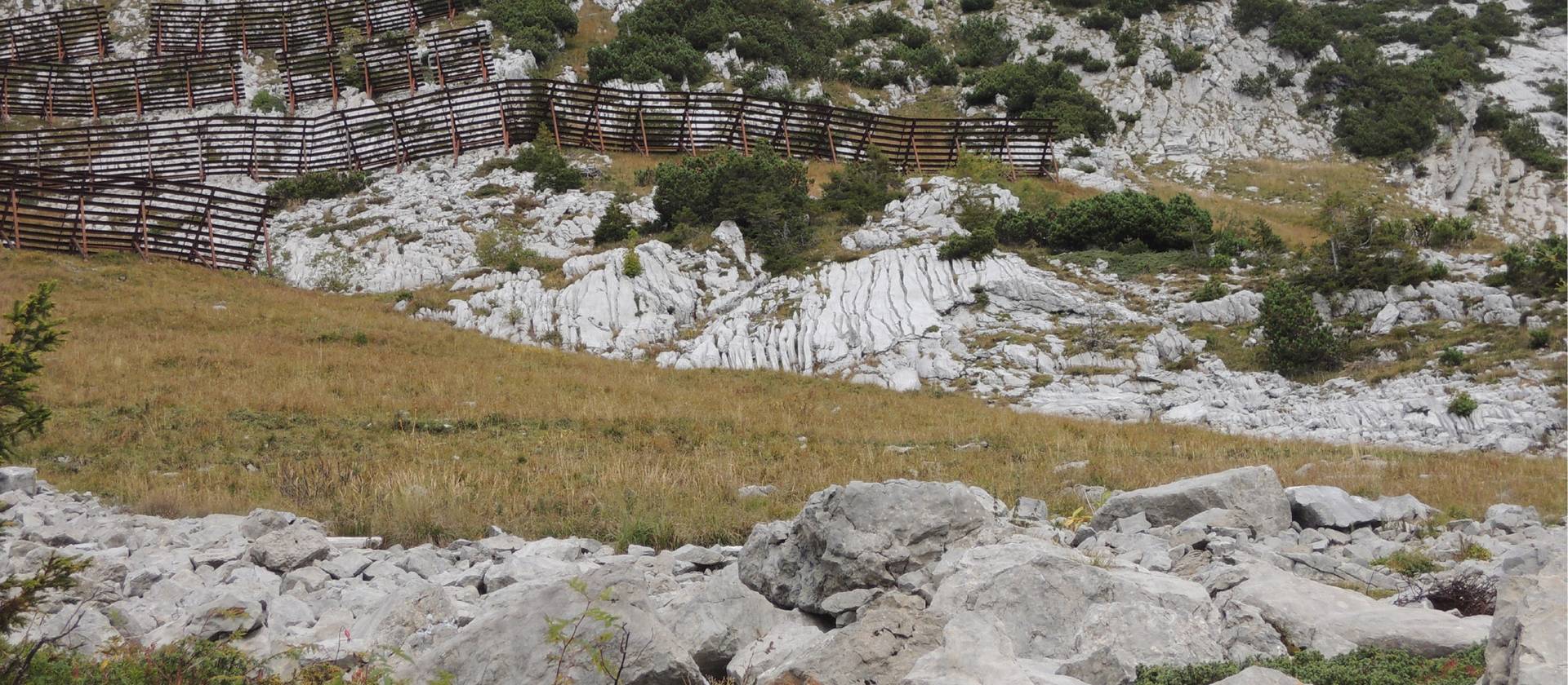 Lawinenverbauung im Gelände