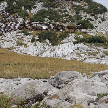 Lawinenverbauung im Gelände