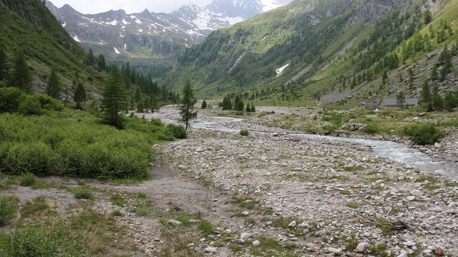 Auengebiet im Wallis