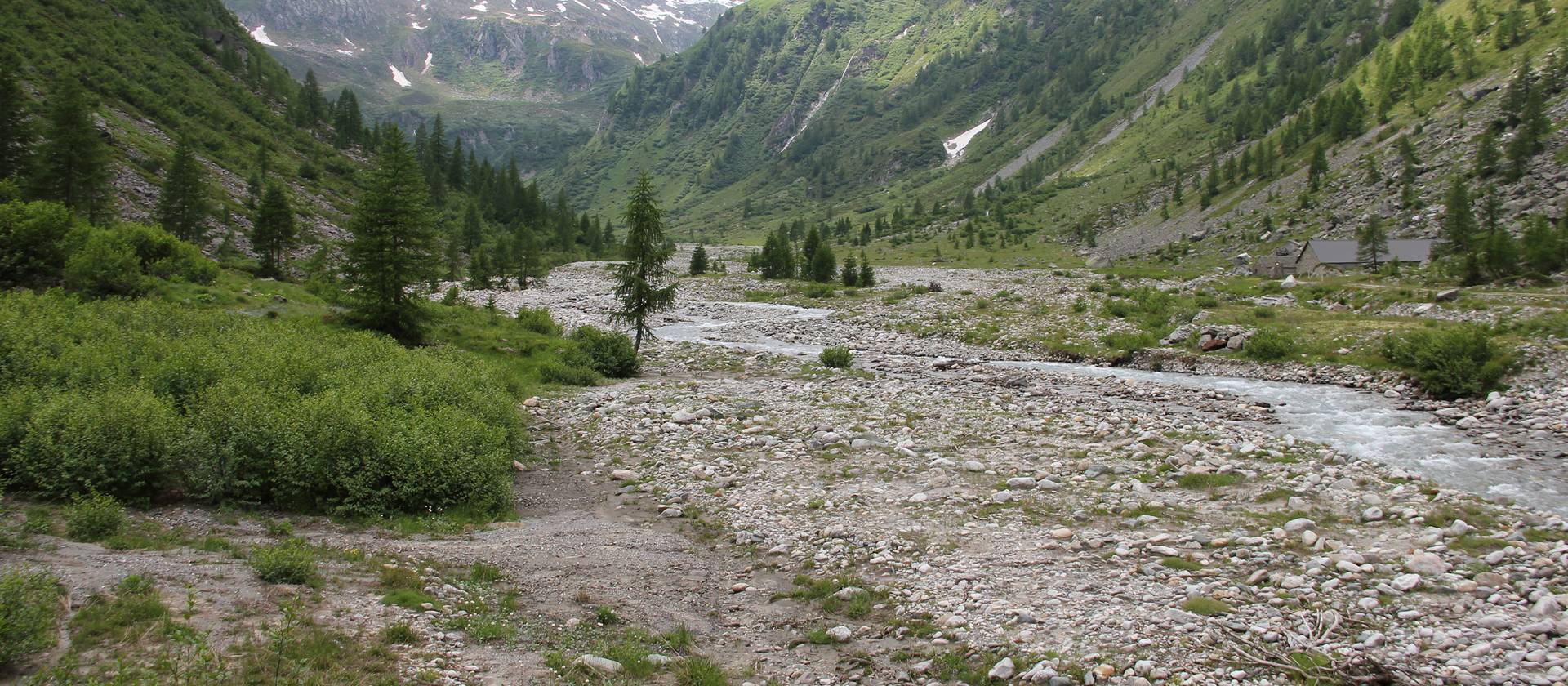 Auengebiet im Wallis