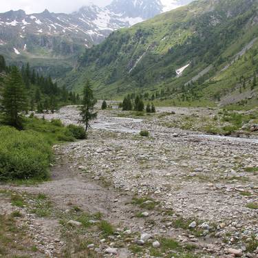 Auengebiet im Wallis