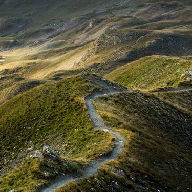 Ein Bike-Weg schlängelt sich über die hügelige Landschaft Graubündens.