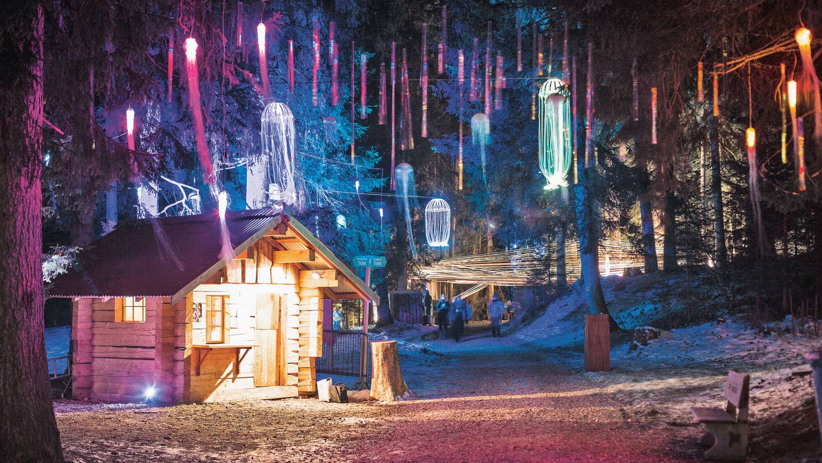 Projekt Zauberwald (Bachelor in Betriebsökonomie): Lichtspiel im Wald bei einer Hütte