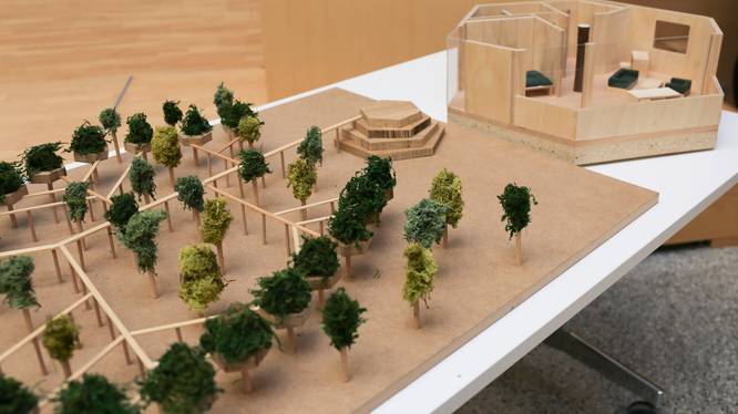 Wissensplatz Mit Übernachtungen in den Baumkronen hoch hinaus