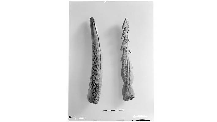 Acetatnegative Berner Historisches Museum Acetatnegativ von archäologischen Funden