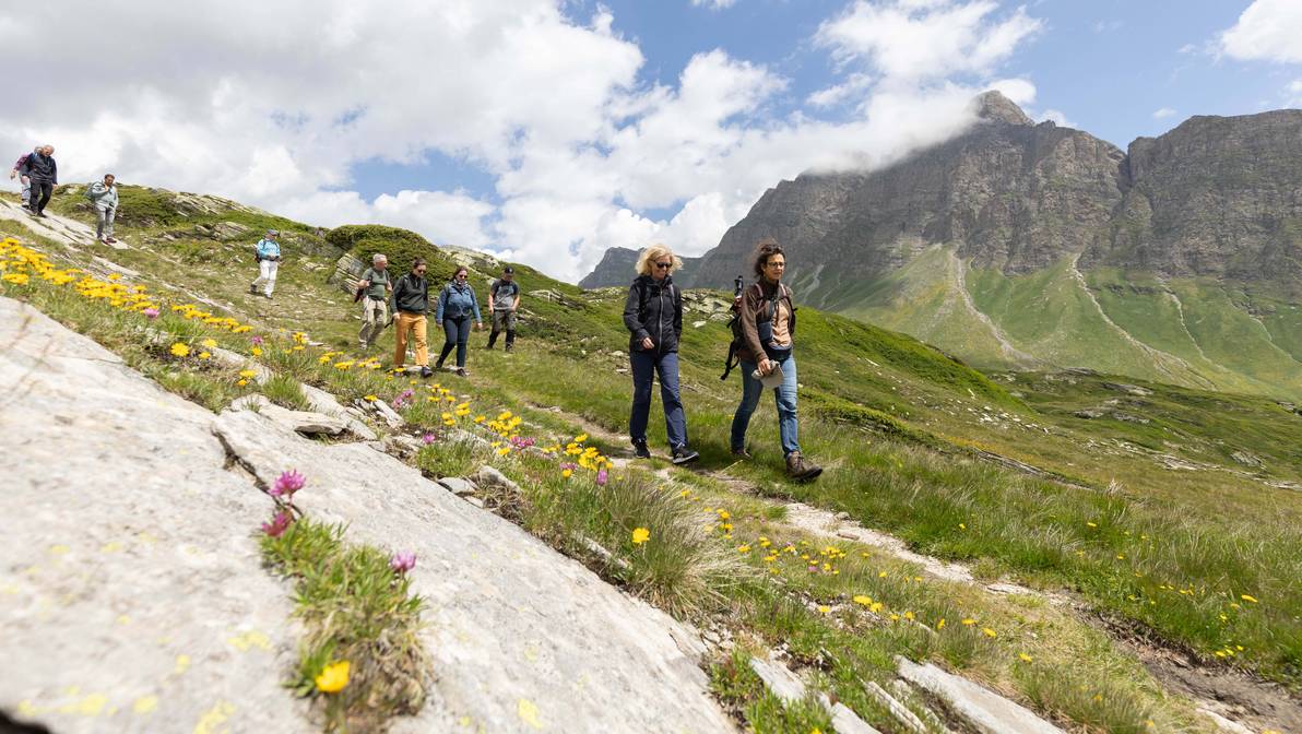 Eine verbindende Wanderung der Kooperationspartner von Nord nach Süd über den San Bernardino Pass. (Foto: Andrea Furger)