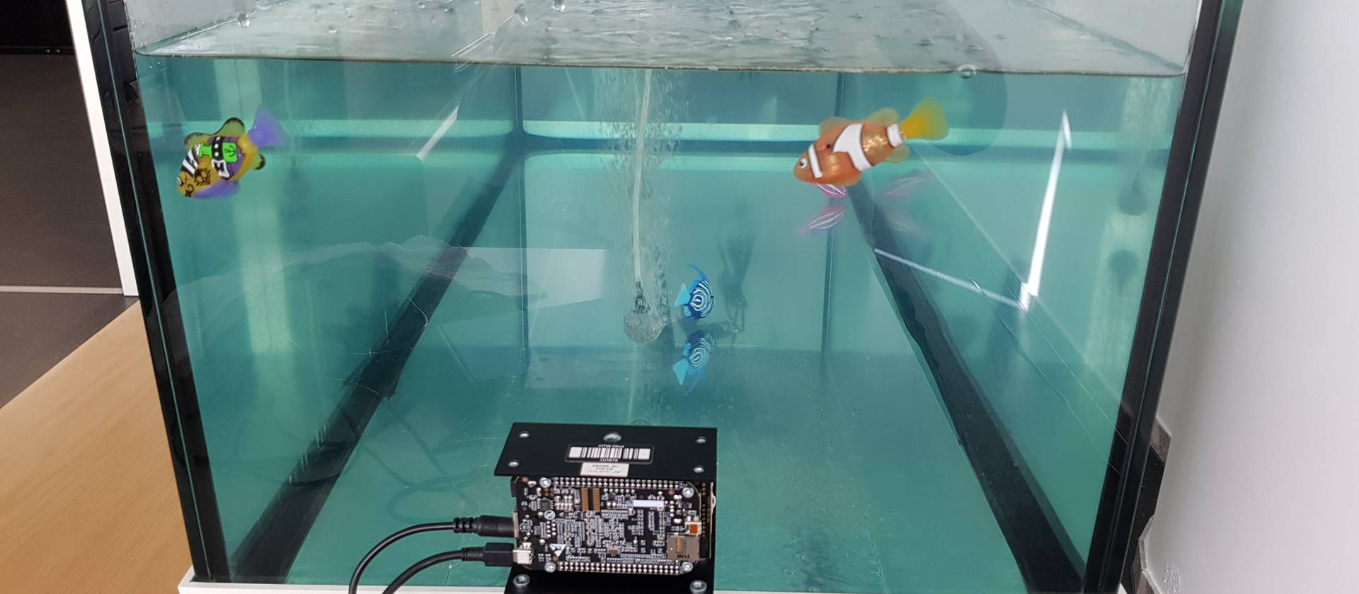 Die 3d-TOF Kamera vor einem Test-Aquarium