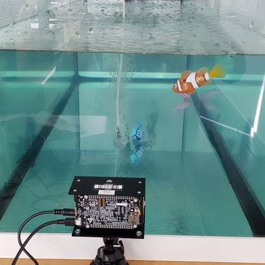 Die 3d-TOF Kamera vor einem Test-Aquarium