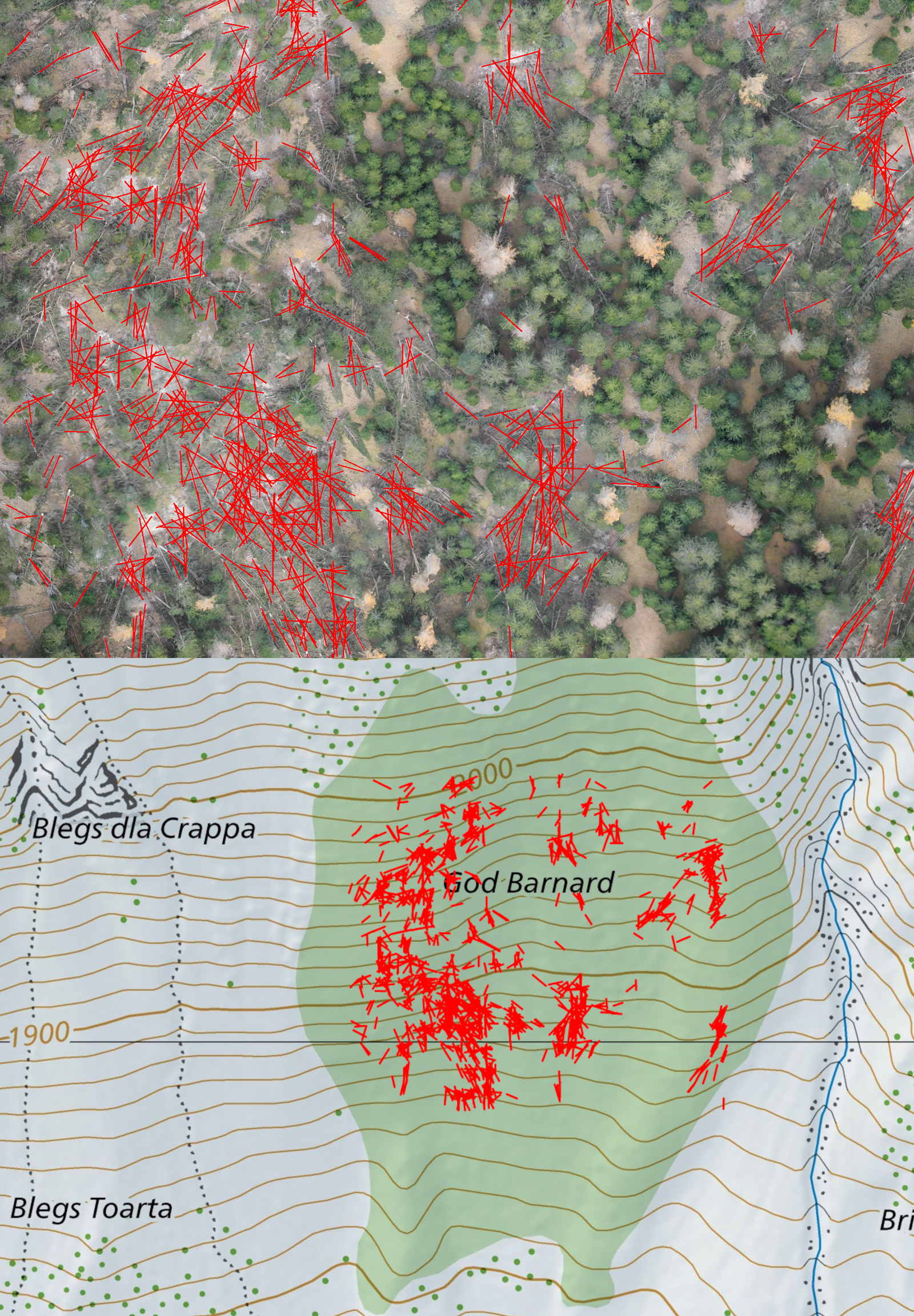 Waldsturmschadensanalyse mittels Fernerkundung durch Drohnen