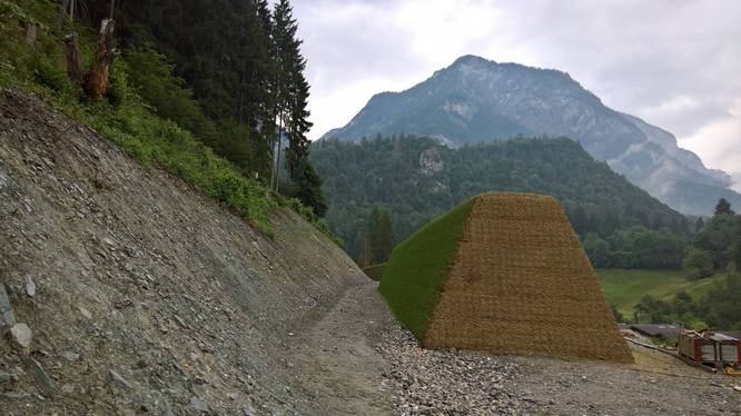 Holzwolle im Tiefbau – Anwendungen und Potenziale eines Naturprodukts