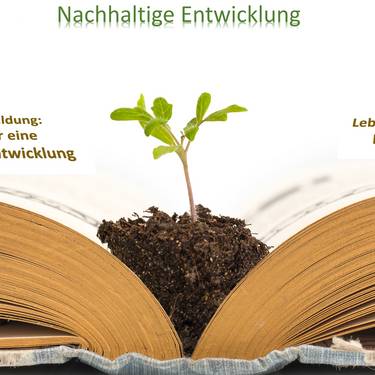 Plant growing from an old opened book,  isolated on white background, education or recycling concept