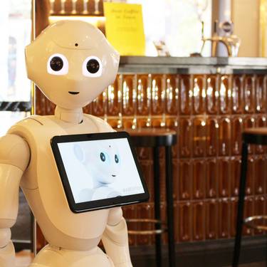 Pepper im Einsatz im Opera Hotel im Rahmen einer Studie der Fachhochschule Graubünden (Bild: Opera Hotel)