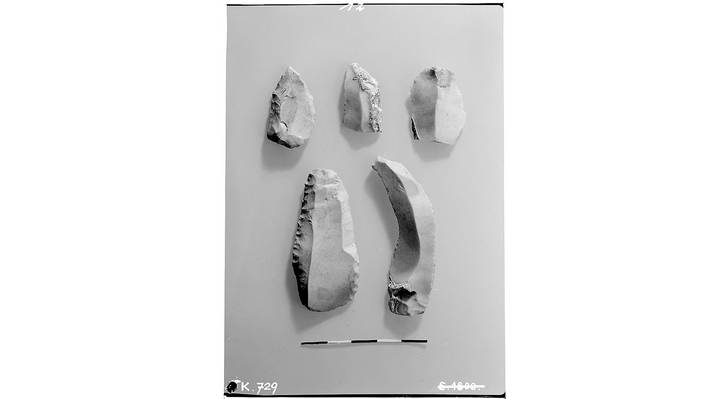 Acetatnegative Berner Historisches Museum Acetatnegativ von Gesteinsfunden